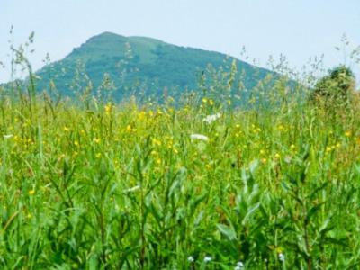 Caloroczne Domki Zacisze Hnatowego Berda W Wetlinie Wetlina Exteriör bild